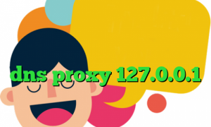 تیک تاک وصل نمیشه وی پی ان از کشور موریس گو وی پی ان کانکشن فیلتر شکن dns proxy 127.0.0.1 تیک و تاک سروش هامون